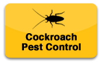cockroach_1