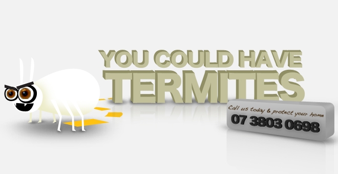 termites