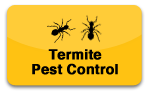 termite