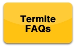 termiteFAQs